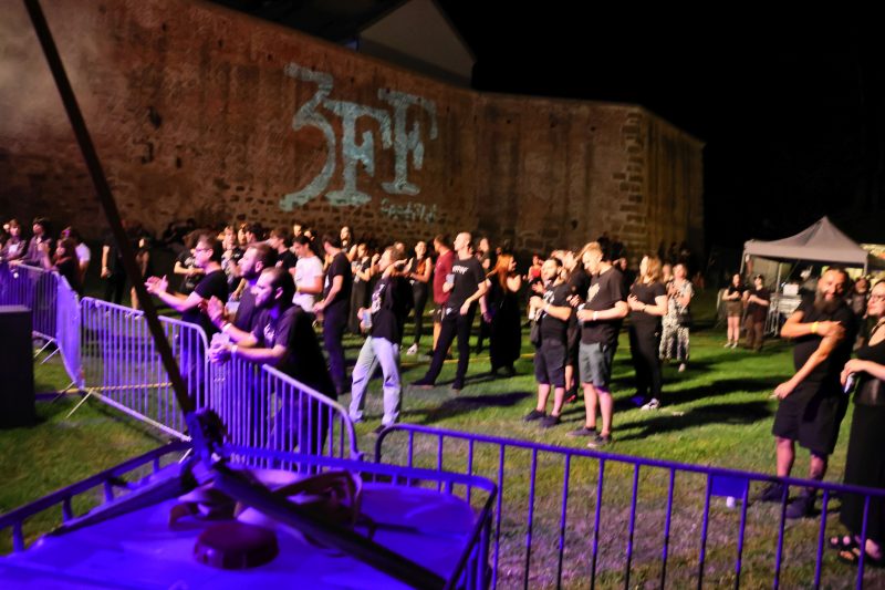 3FF festival 2026