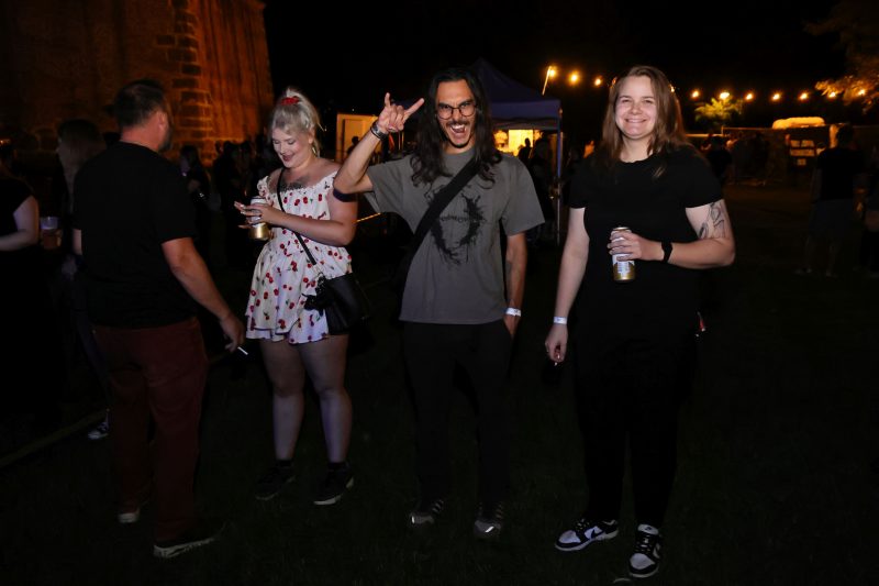 3FF festival 2026