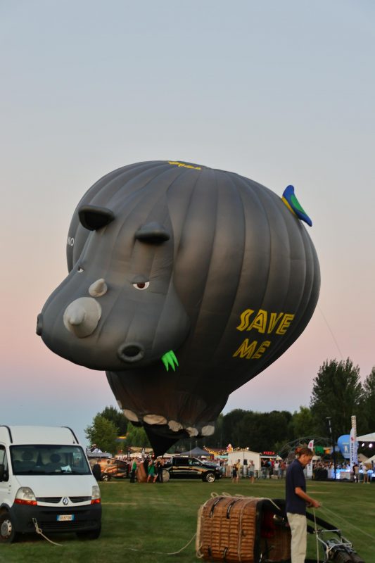 Festival balona na vrući zrak