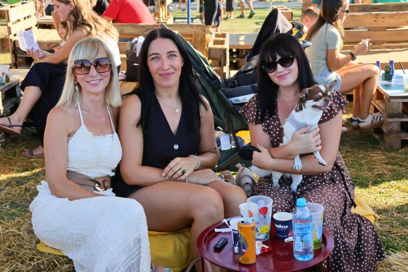 Festival balona na vrući zrak