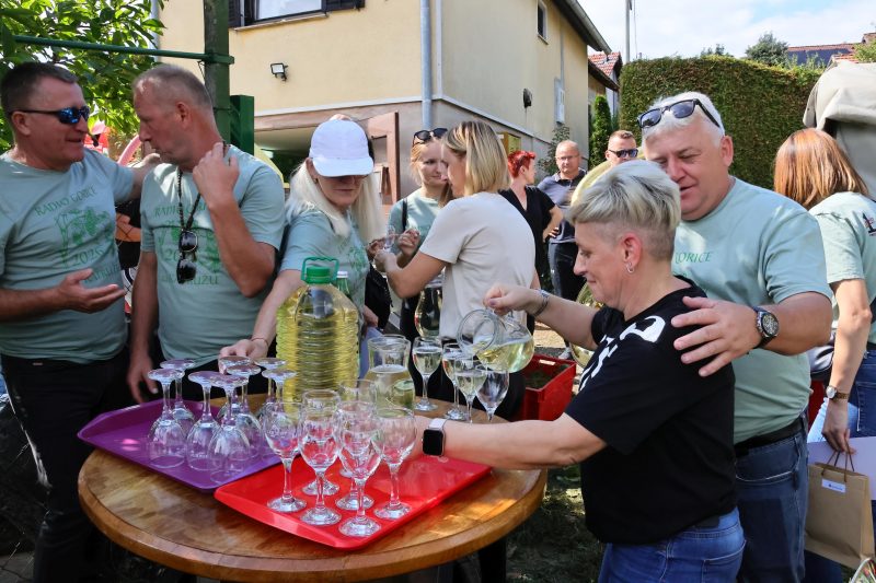 Radio gorice za Katružu