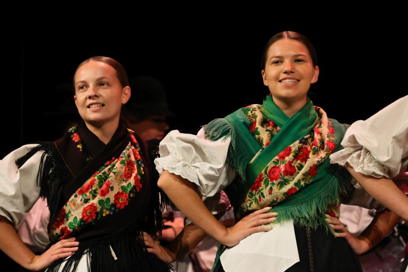 novi festival „Eto, etno!“ u Čakovcu