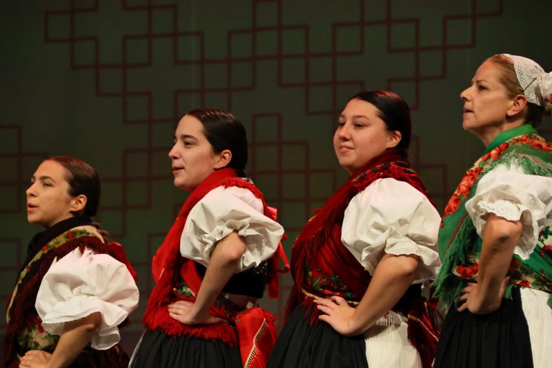novi festival „Eto, etno!“ u Čakovcu
