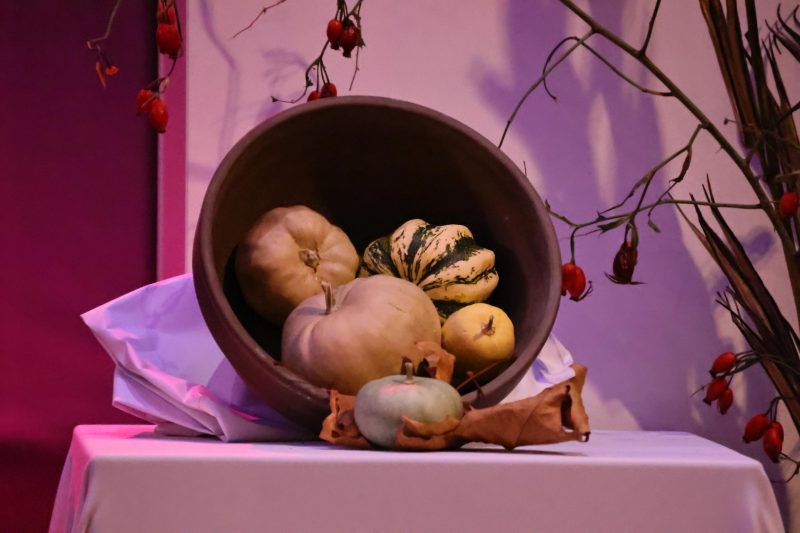 novi festival „Eto, etno!“ u Čakovcu