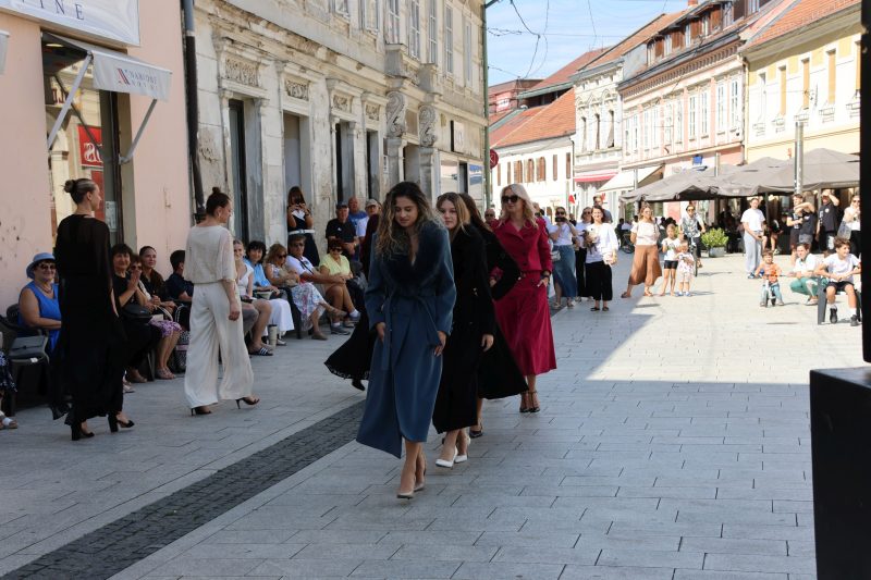 humanitarna revija "Korak dobrote"
