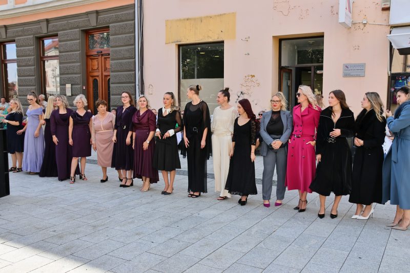 humanitarna revija "Korak dobrote"