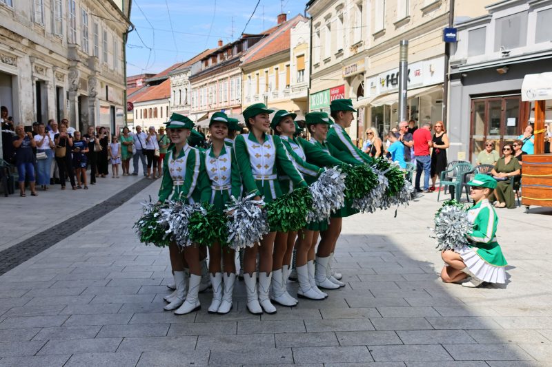 humanitarna revija "Korak dobrote"