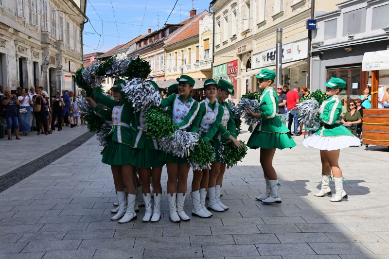 humanitarna revija "Korak dobrote"