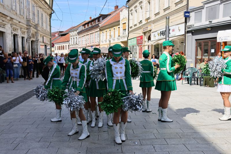 humanitarna revija "Korak dobrote"