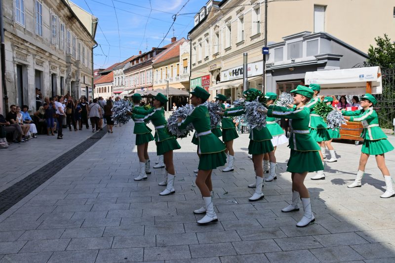 humanitarna revija "Korak dobrote"