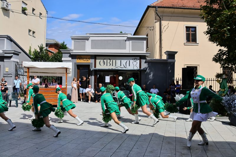 humanitarna revija "Korak dobrote"