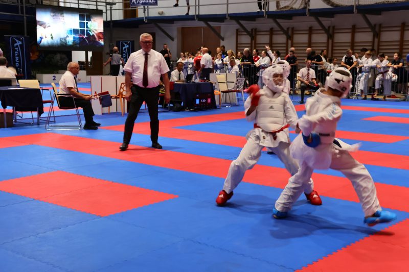 30. Međimurje Open Čakovec Croatia 2026