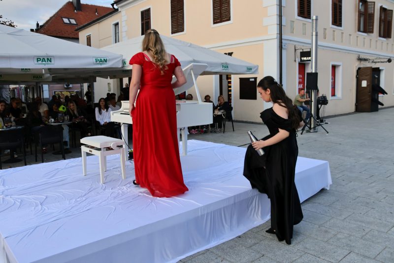 Meni kulture Čakovec