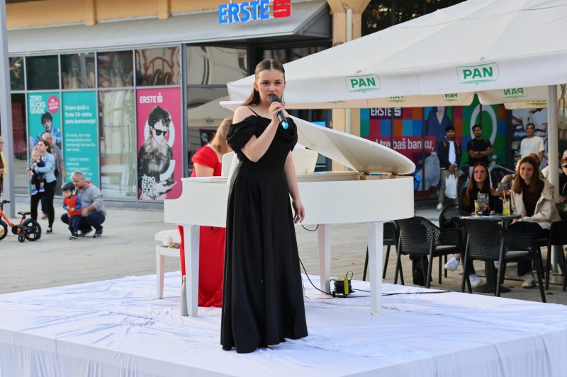 Meni kulture Čakovec