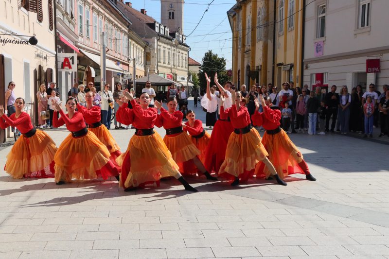 Meni kulture Čakovec