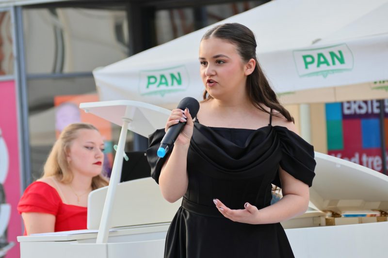 Meni kulture Čakovec
