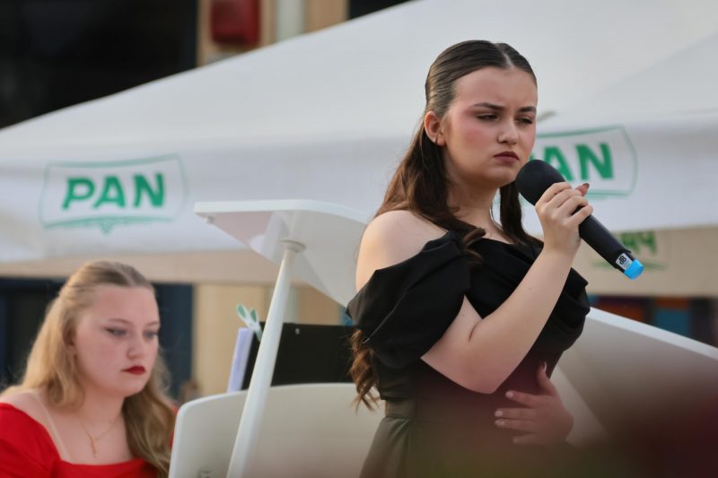 Meni kulture Čakovec