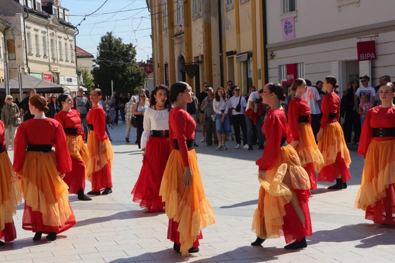 Meni kulture Čakovec