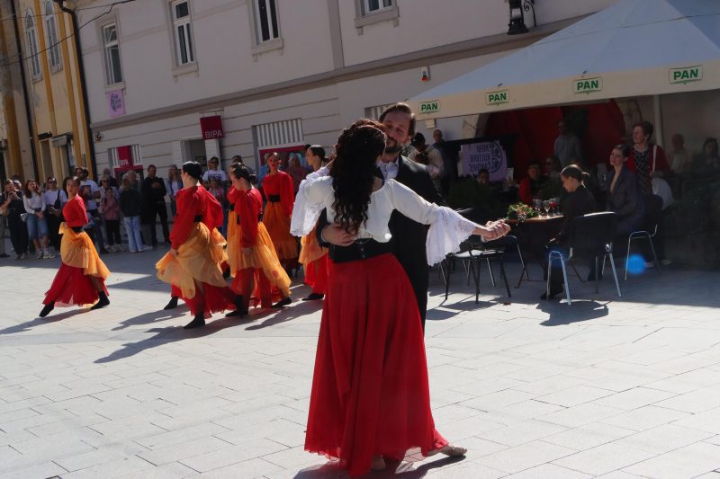 Meni kulture Čakovec