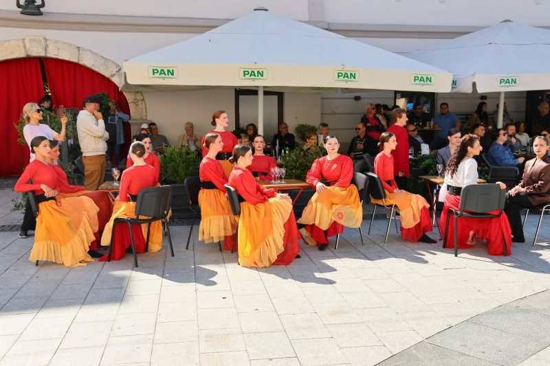 Meni kulture Čakovec