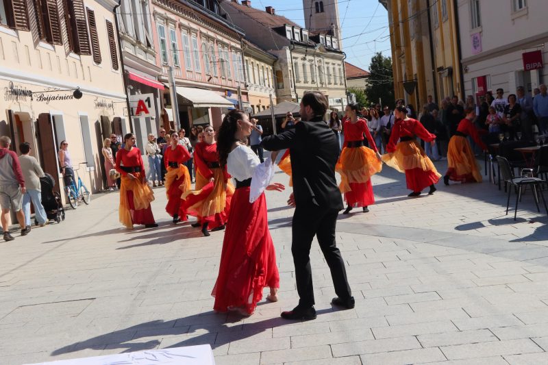 Meni kulture Čakovec