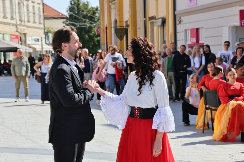 Meni kulture Čakovec
