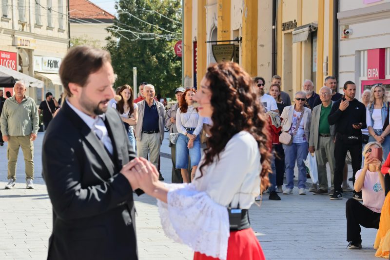 Meni kulture Čakovec