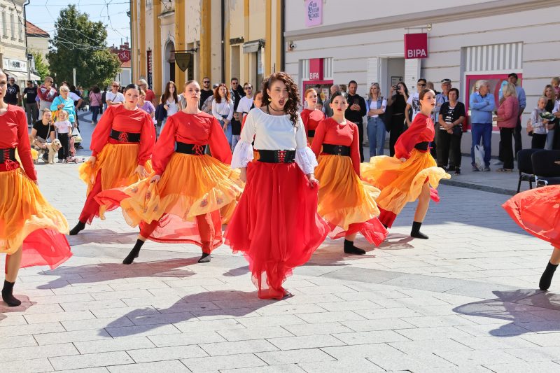 Meni kulture Čakovec