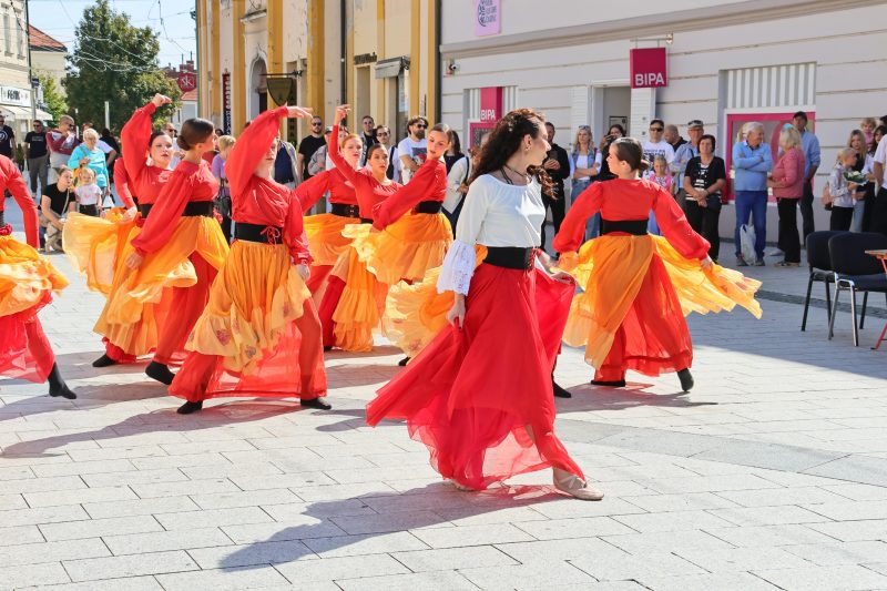 Meni kulture Čakovec