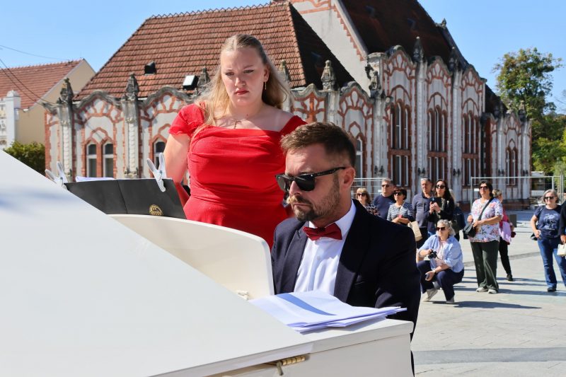 Meni kulture Čakovec