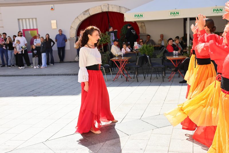 Meni kulture Čakovec