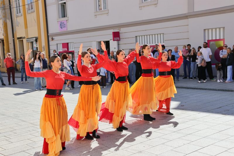 Meni kulture Čakovec
