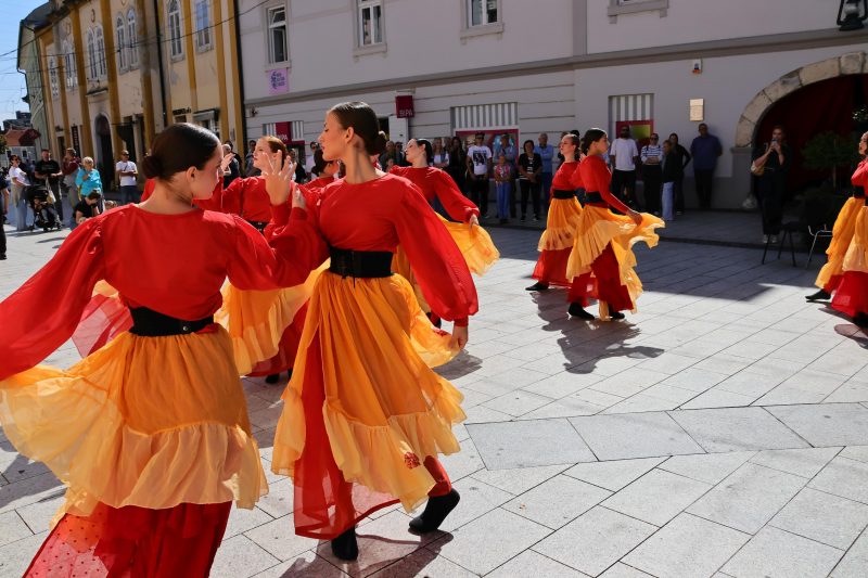 Meni kulture Čakovec