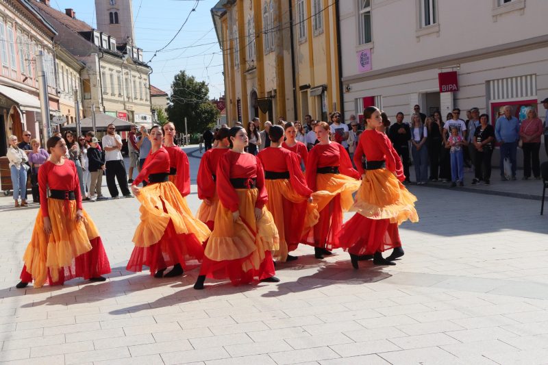 Meni kulture Čakovec