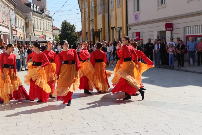 Meni kulture Čakovec