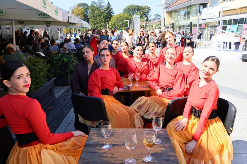 Meni kulture Čakovec