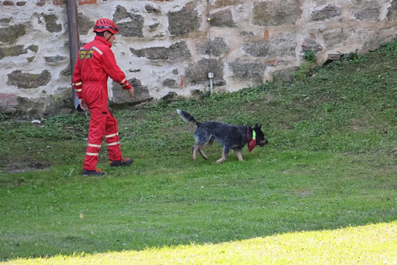 pokazne vježbe interventne policije