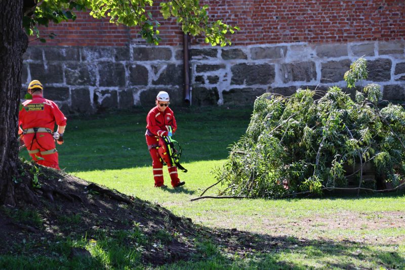 pokazne vježbe interventne policije