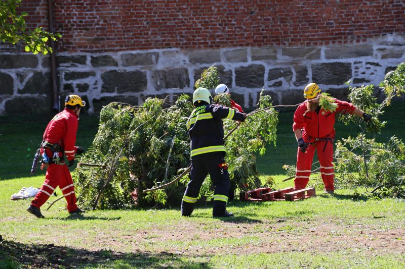 pokazne vježbe interventne policije