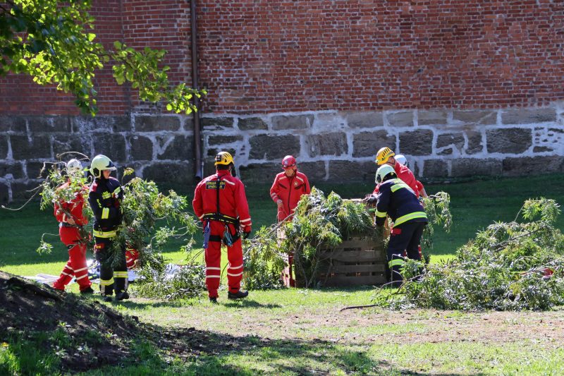 pokazne vježbe interventne policije