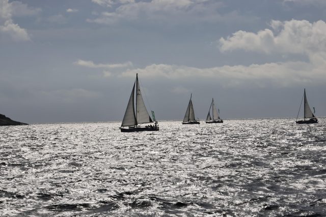 22 međimurska regata