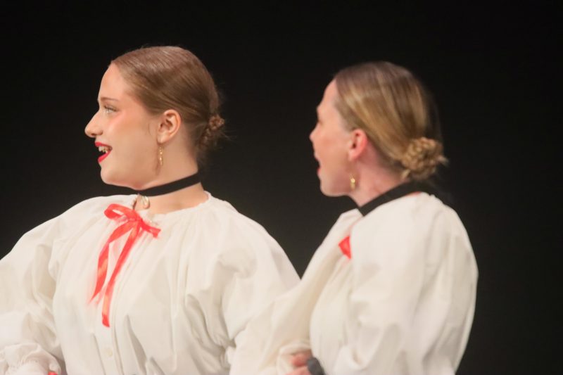 Održan 33. Susret hrvatskih folklornih ansambala i izvornih skupina