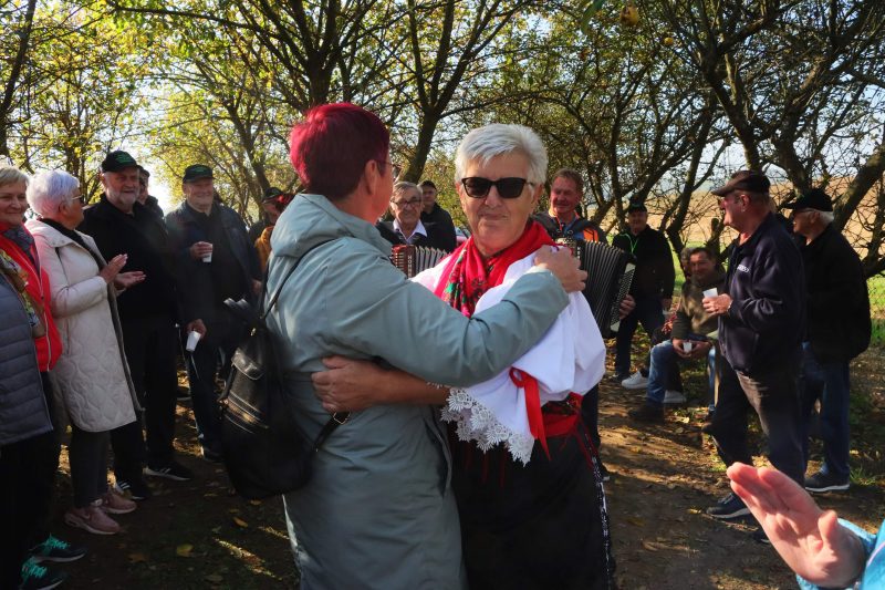 Obilježavanje Svjetskog dana jabuka