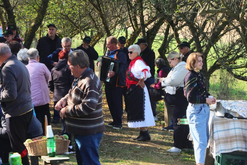 Obilježavanje Svjetskog dana jabuka