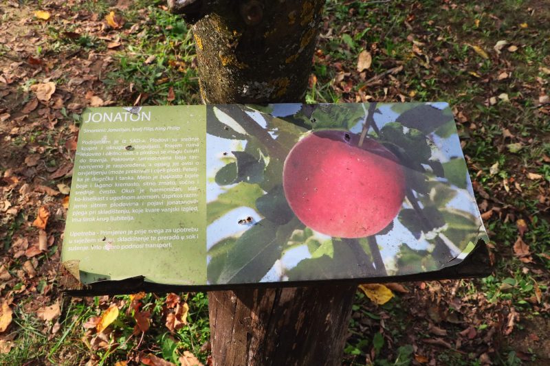 Obilježavanje Svjetskog dana jabuka