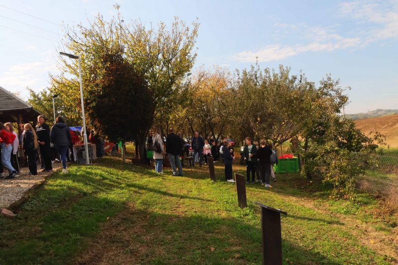 Obilježavanje Svjetskog dana jabuka