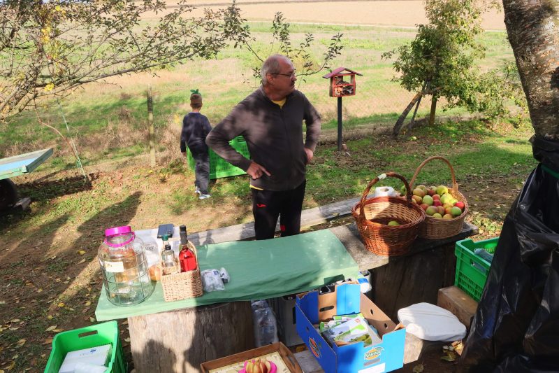 Obilježavanje Svjetskog dana jabuka