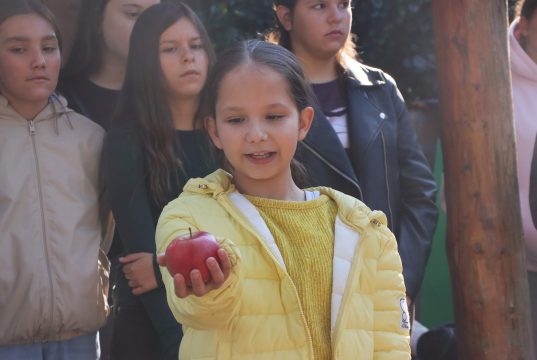 Obilježavanje Svjetskog dana jabuka