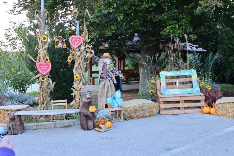 Održan 2. Festival nordijskog hodanja u Pleškovcu
