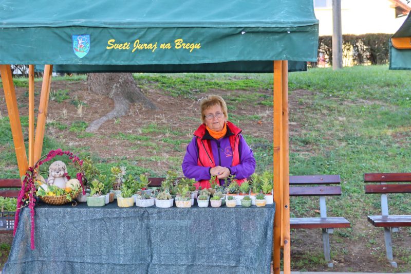 Održan 2. Festival nordijskog hodanja u Pleškovcu